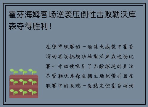 霍芬海姆客场逆袭压倒性击败勒沃库森夺得胜利！